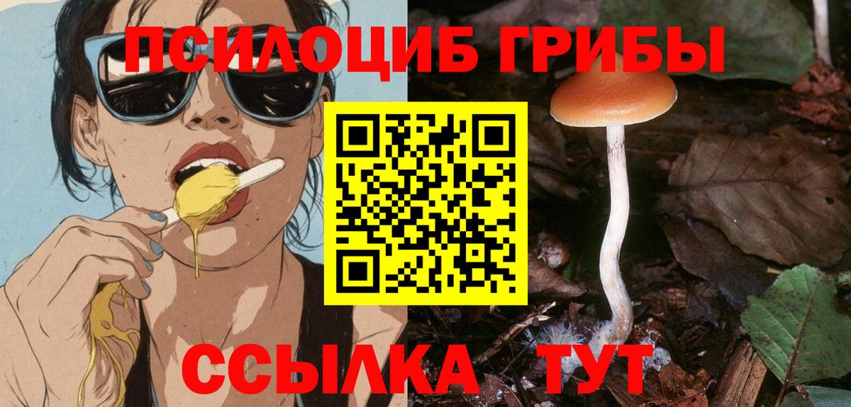 Кыштым  Псилоцибиновые грибы Psilocybe  Вход с VPN 